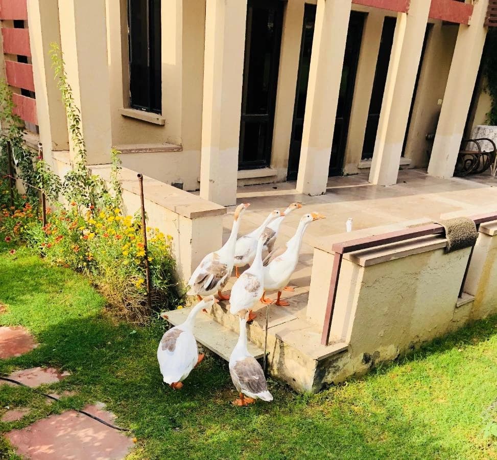 Beautiful Apartments at Tarudhan Valley Golf Resort, Manesar