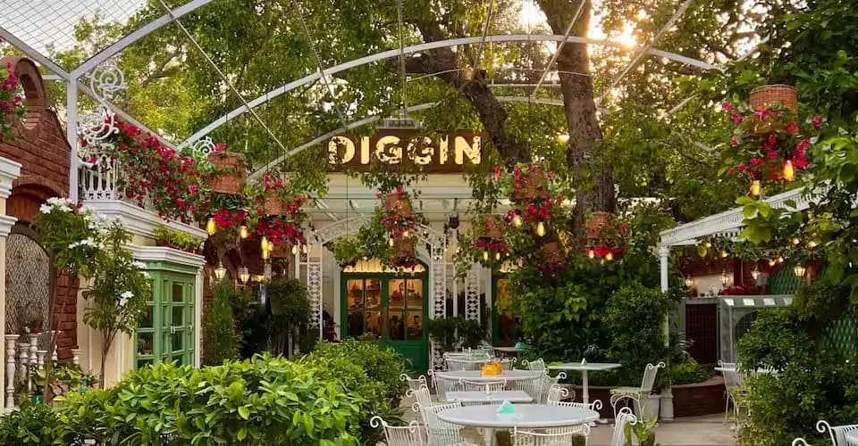 Diggin Cafe