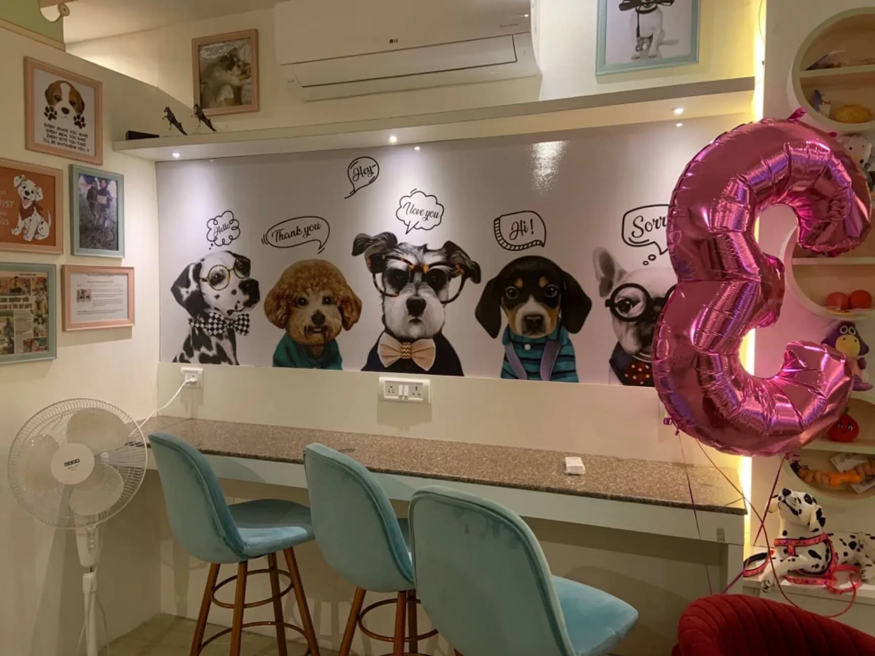 Puppychef pet cafe