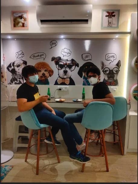 Puppychef pet cafe