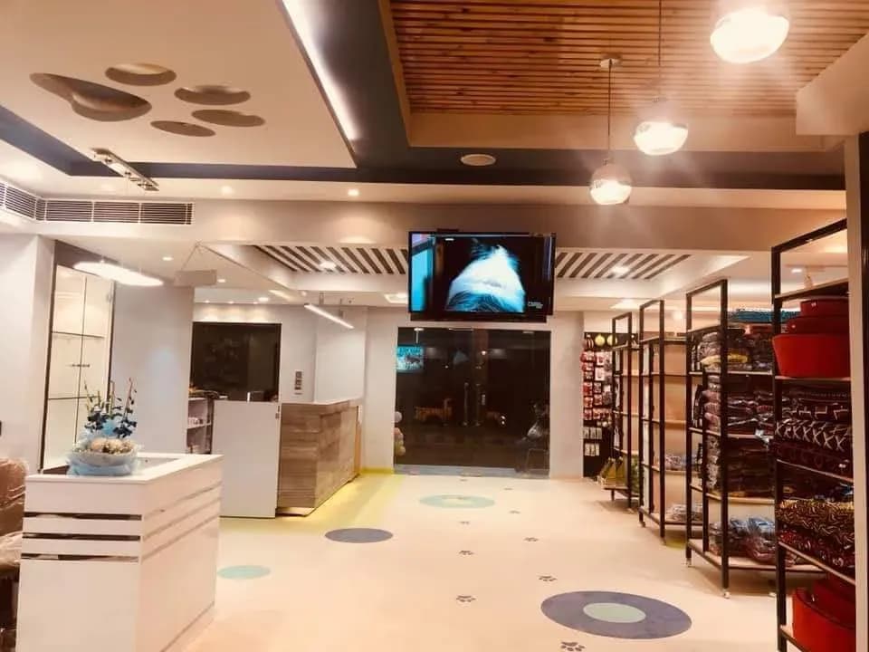 Max Vets
