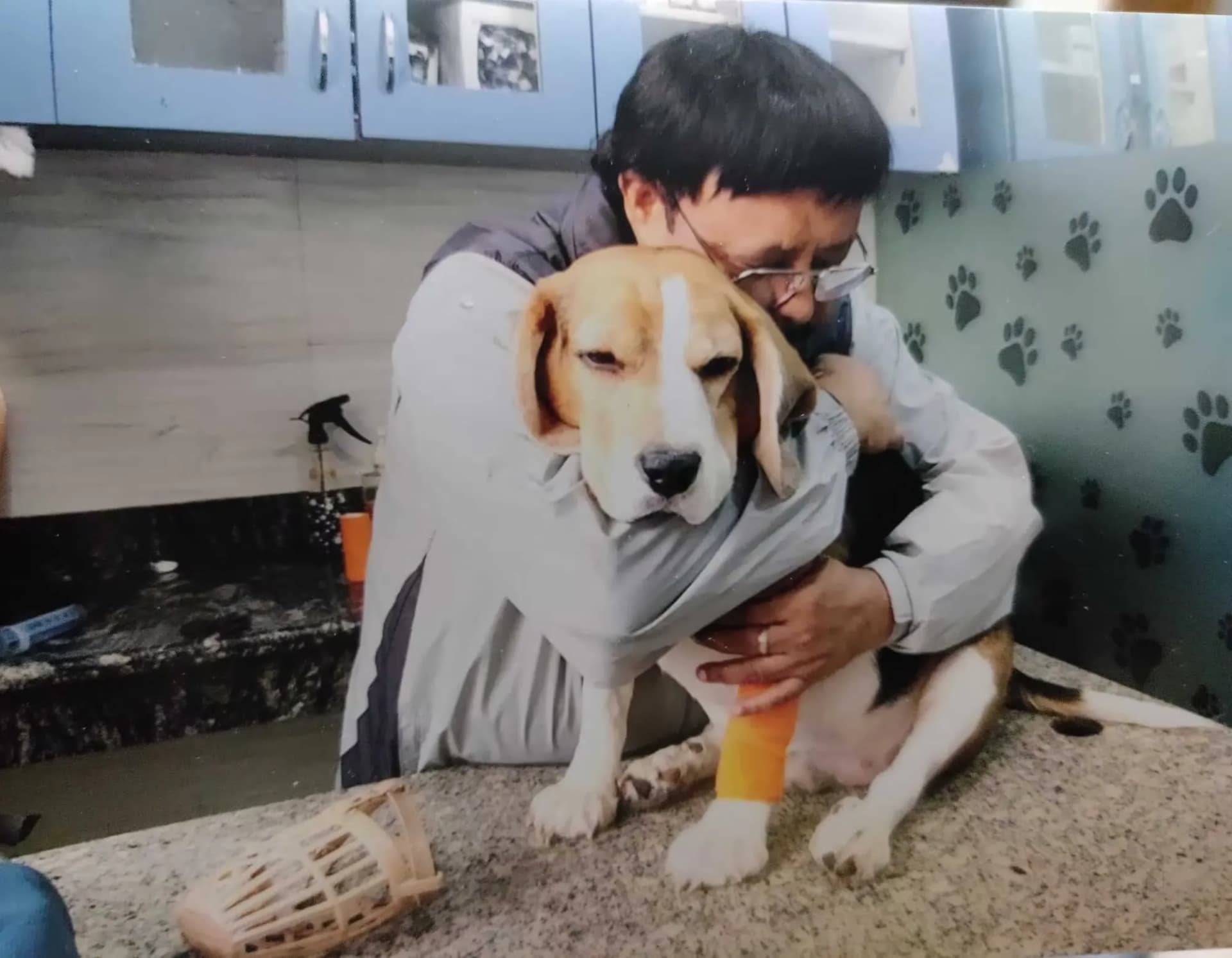 Max Vets