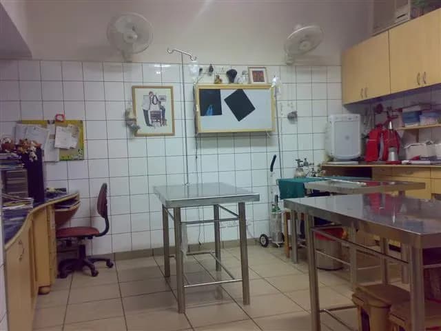 Niti Bagh Pet Clinic