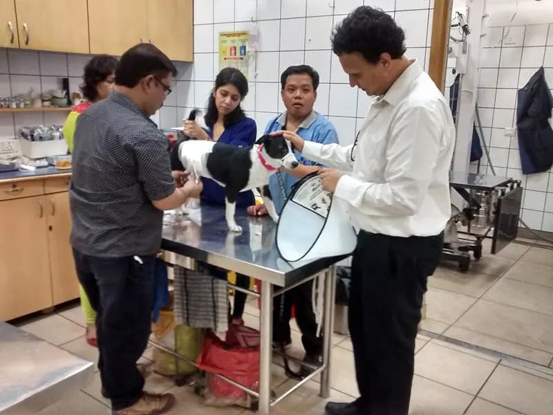 Niti Bagh Pet Clinic