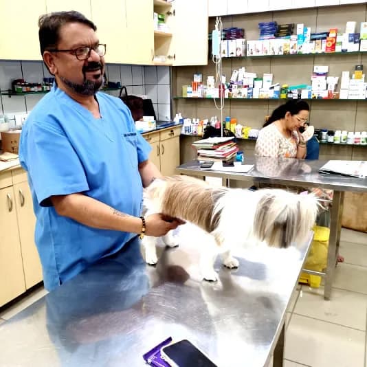 Niti Bagh Pet Clinic