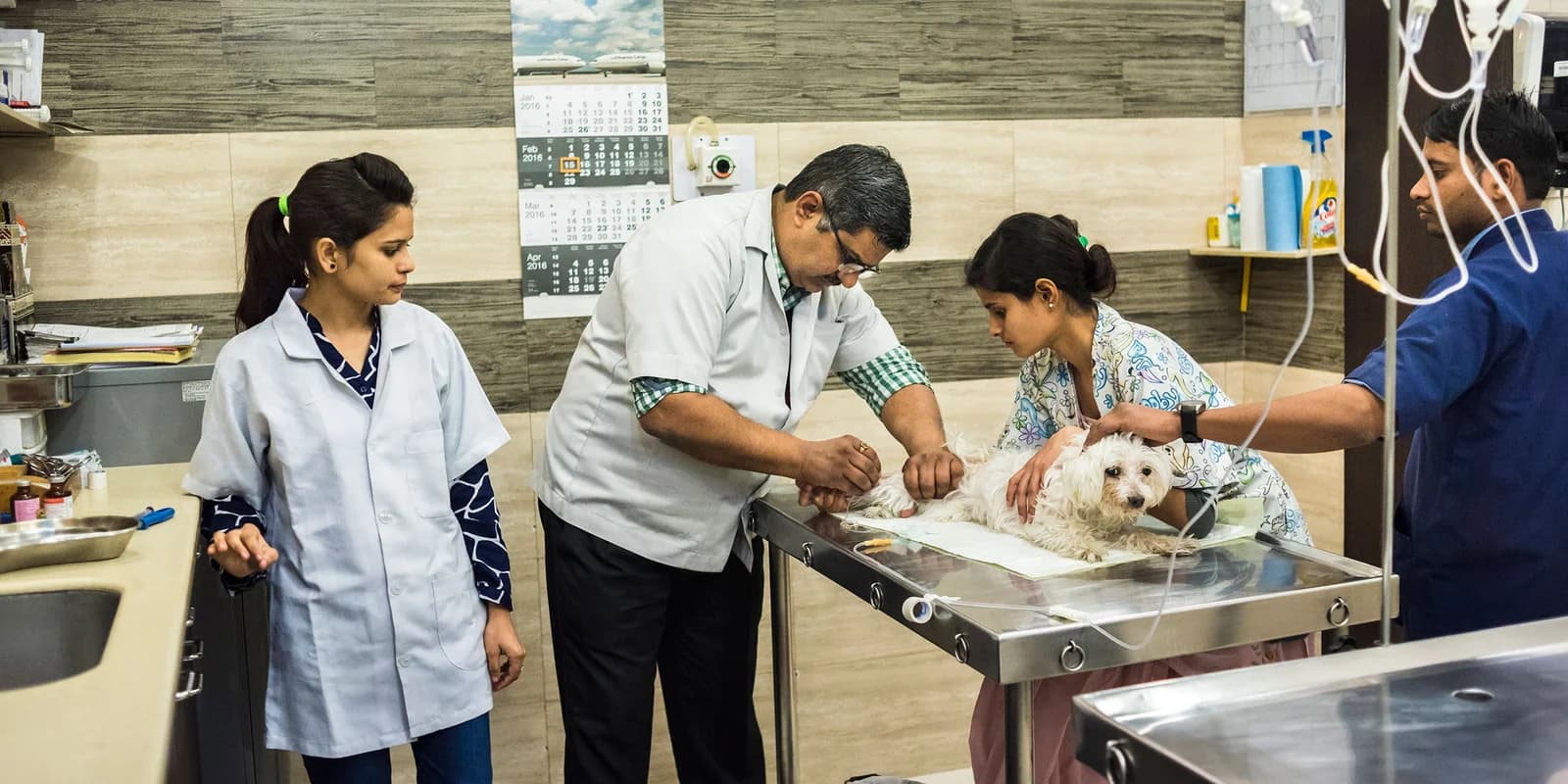Dr. Choudhary’s Pet Clinic