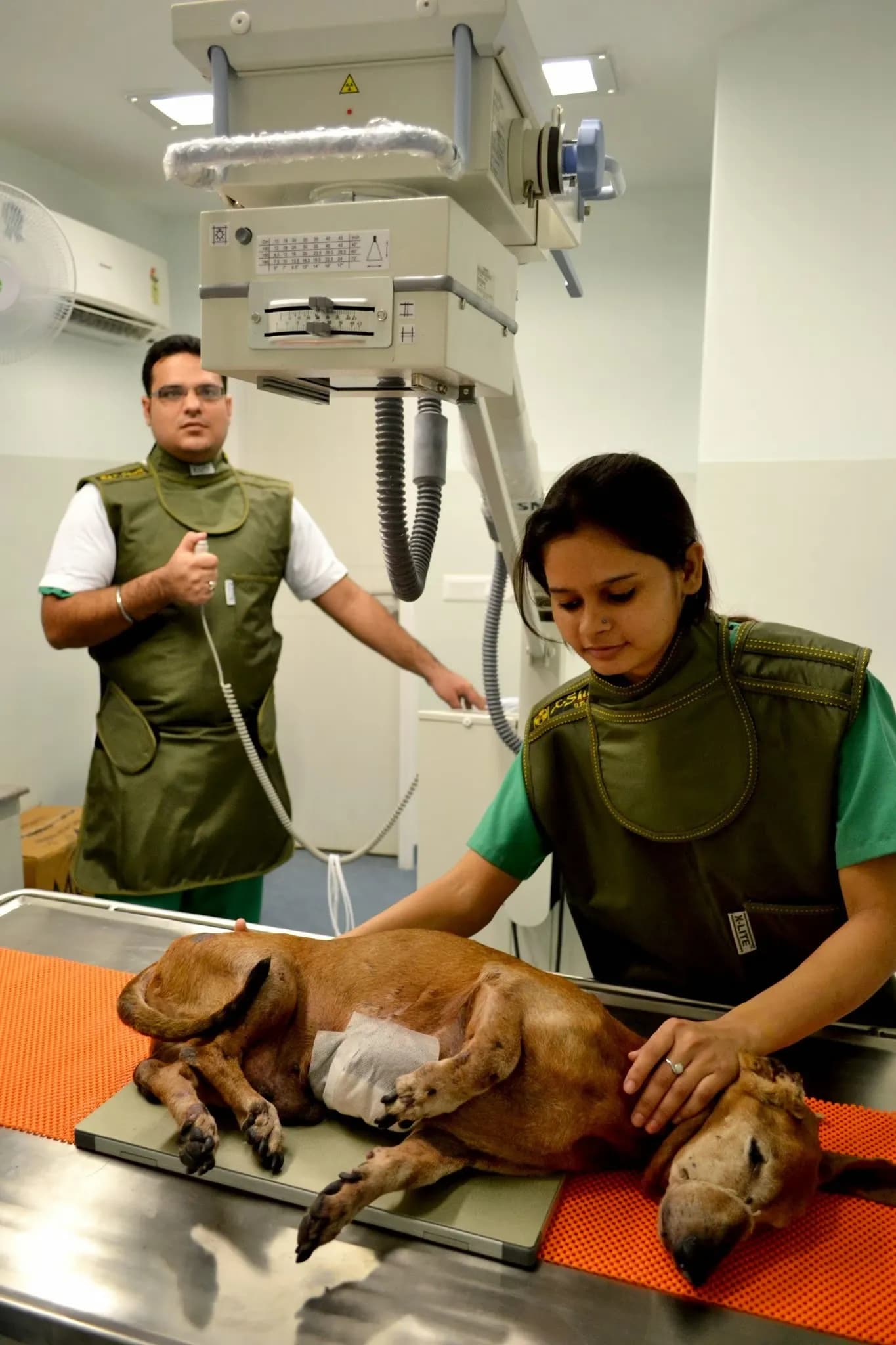 Alphapet Pet Clinic