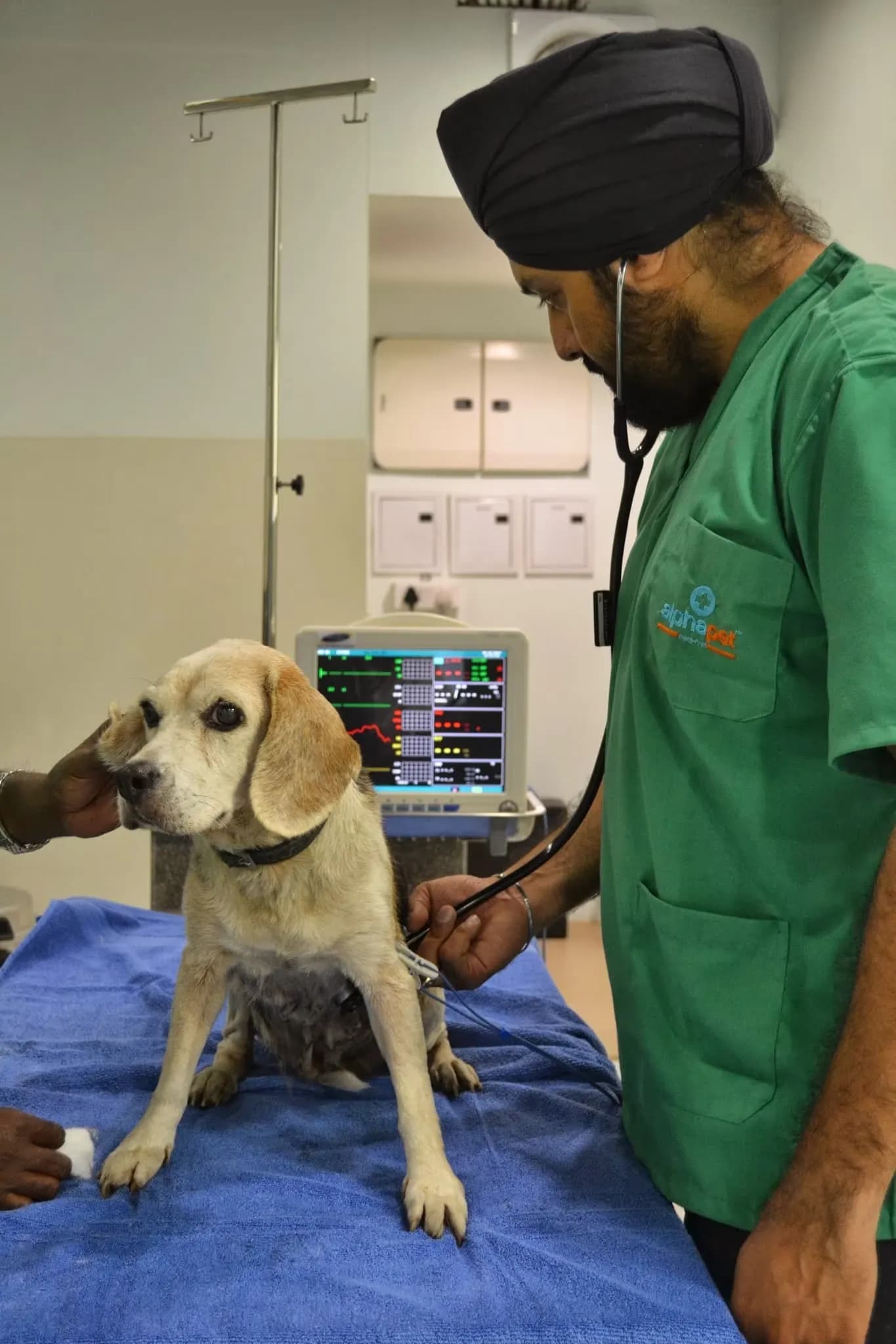Alphapet Pet Clinic