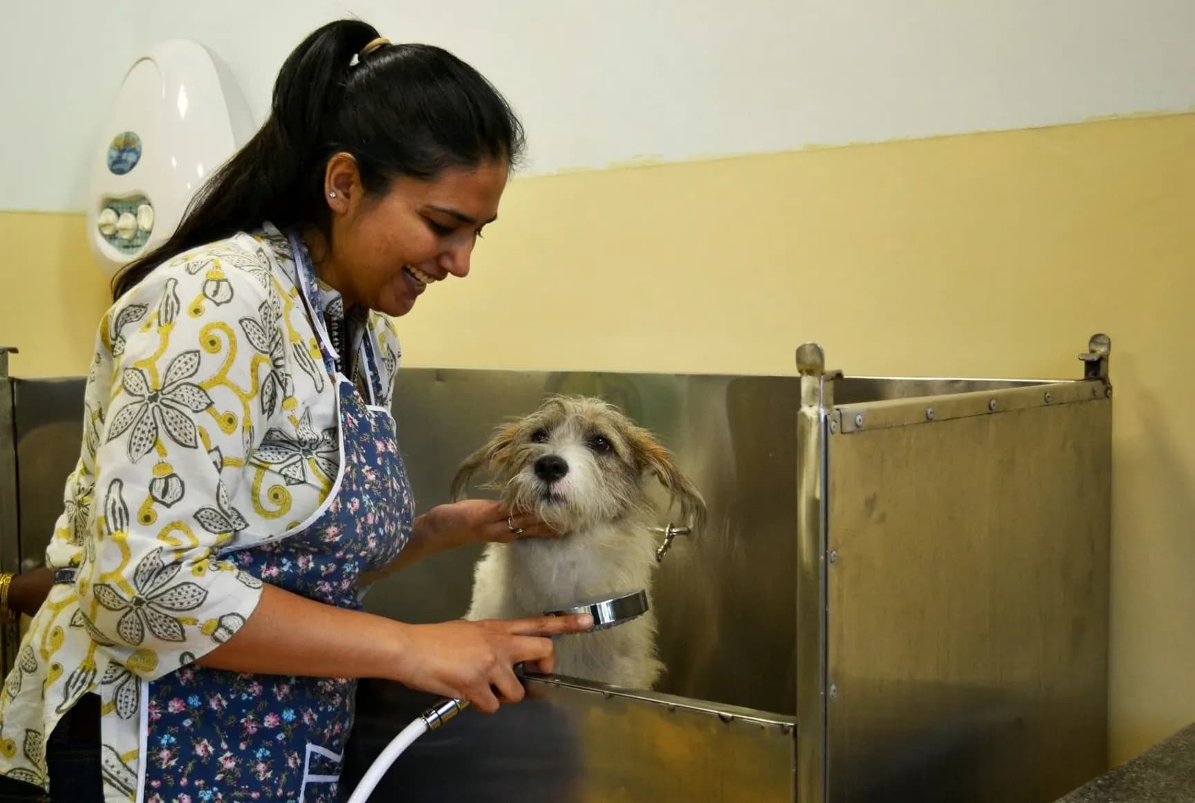 Alphapet Pet Clinic