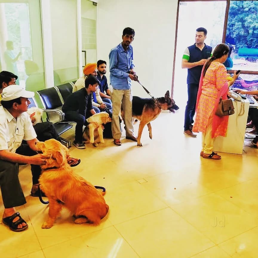 Alphapet Pet Clinic