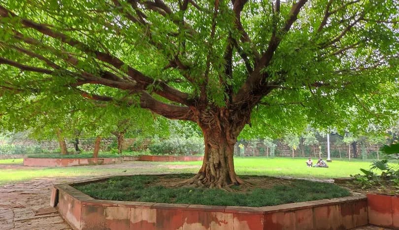 Hauz Khas District Park