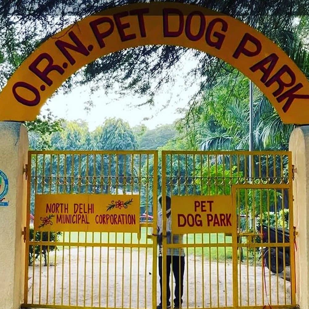 Delhi’s first Pet Dog Park by DSA