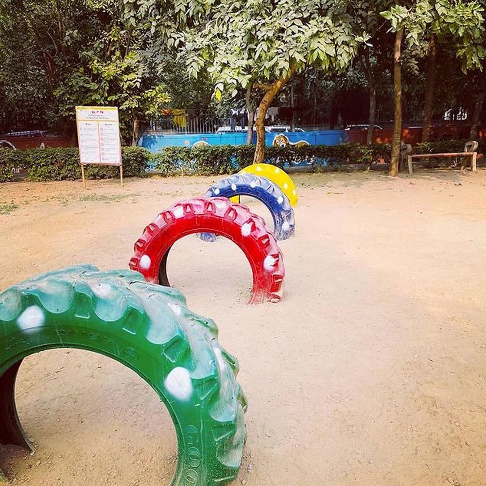 Delhi’s first Pet Dog Park by DSA