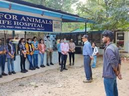 People For Animals