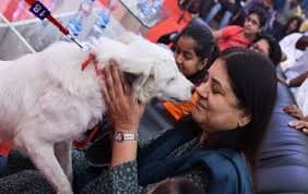 People For Animals
