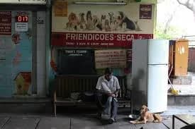 Friendicoes