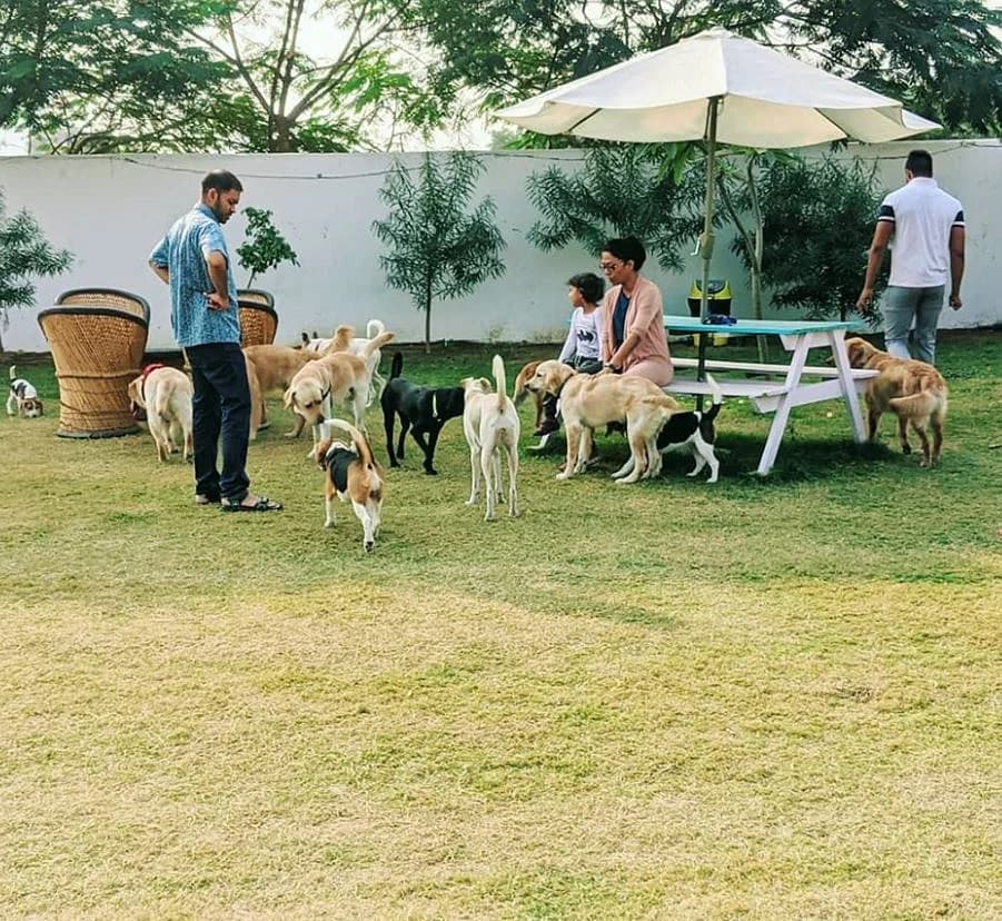 Tail Club Gurgaon – The Ultimate Pet-Friendly Club