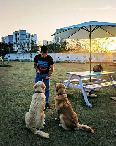 Tail Club Gurgaon – The Ultimate Pet-Friendly Club