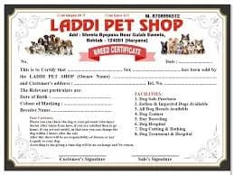 Laddi Pet Shop