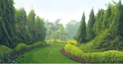 Surjivan Resort