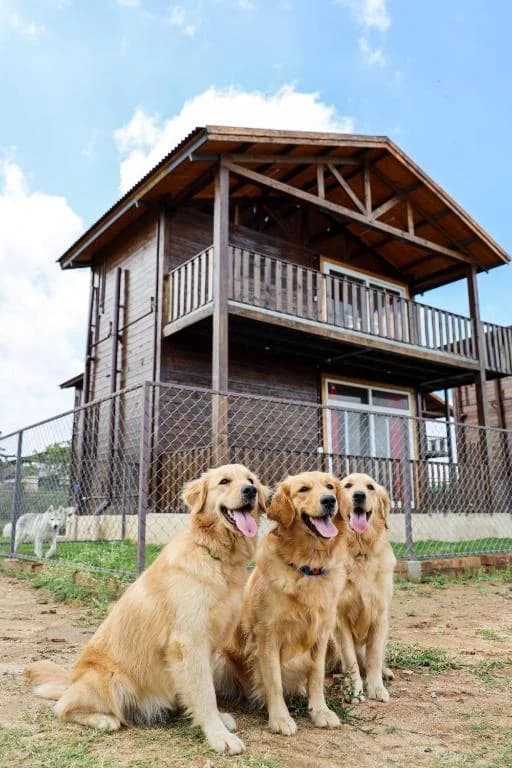 Therpup - The Dog Cafe