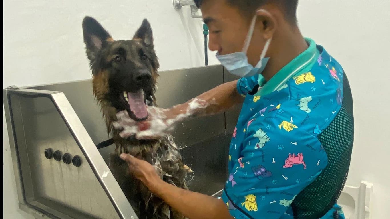 Lucky Paws Veterinary Hospital