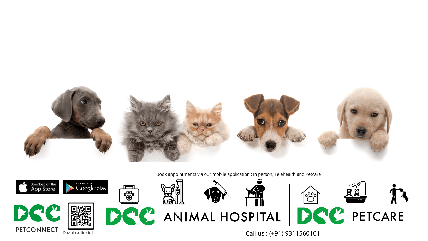 DCC Animal Hospital (Rewari)