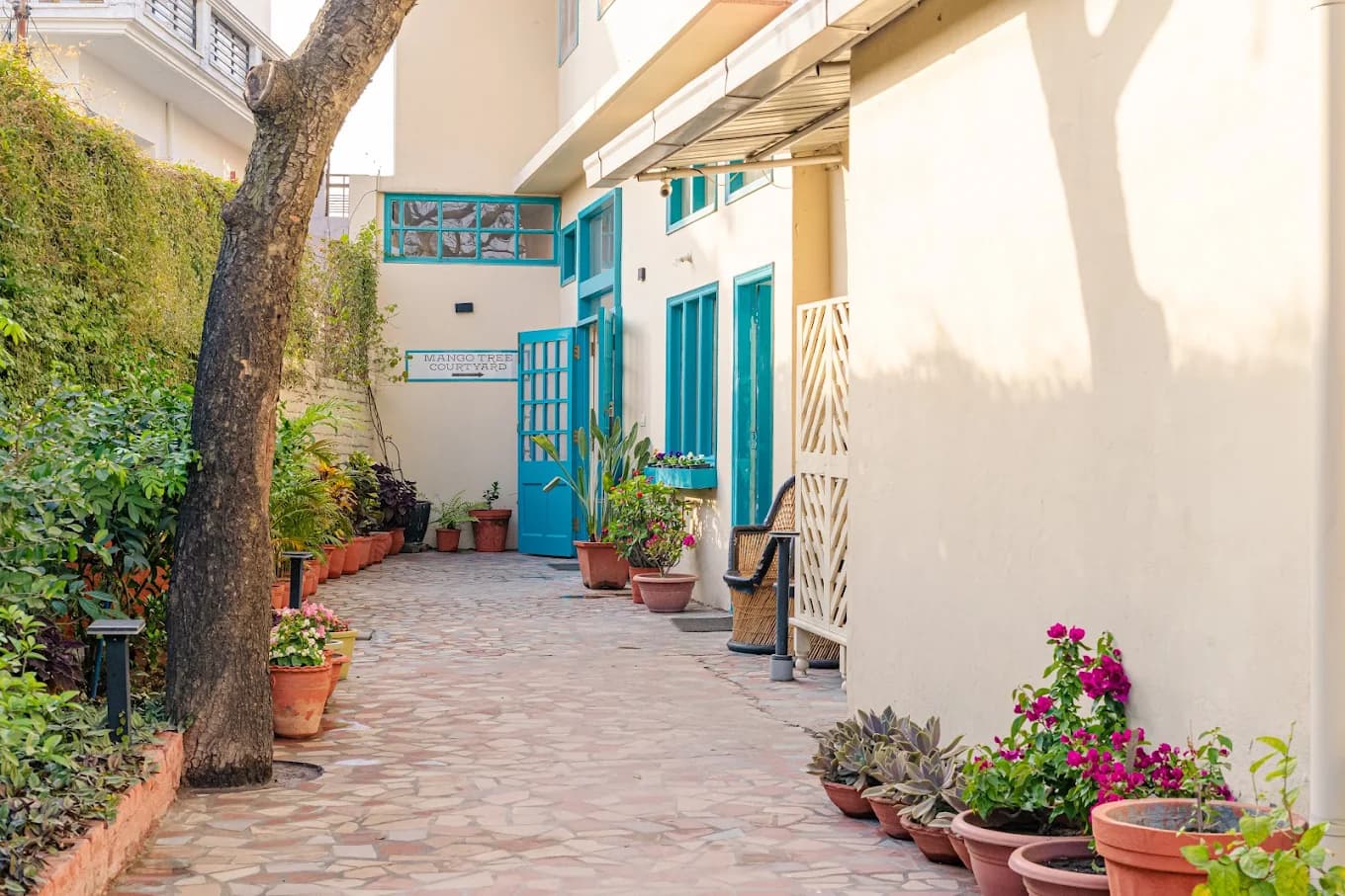Mango Tree Courtyard (Dehradun)