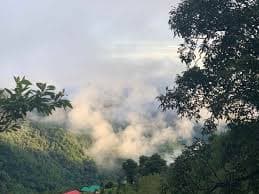 The Cocoon Camps & Nature Resorts, Pangot, (Nainital)