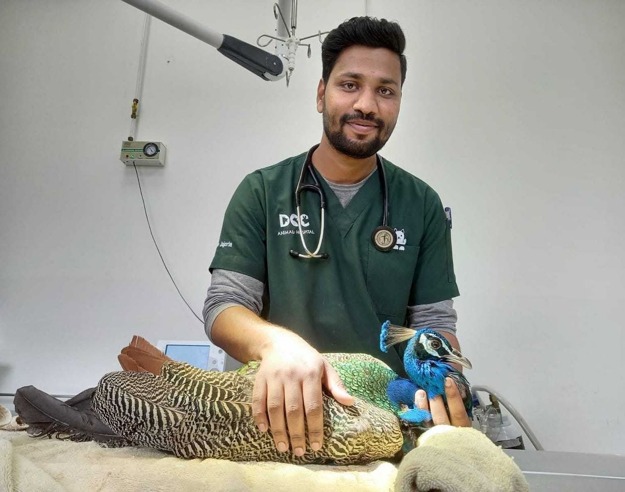 DCC Animal Hospital (Rewari)