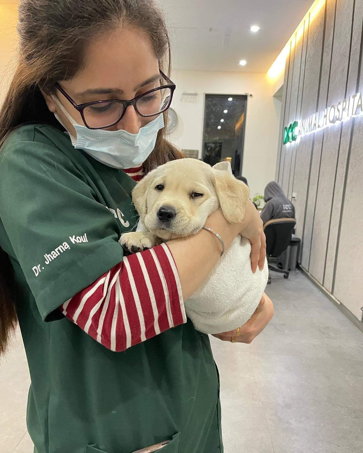 DCC Animal Hospital (Rewari)