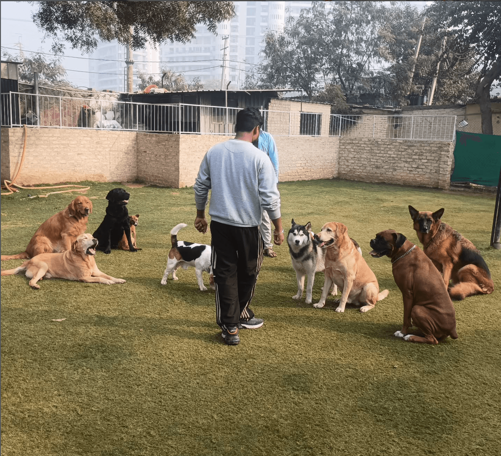 Barks and Meows (Gurgaon)