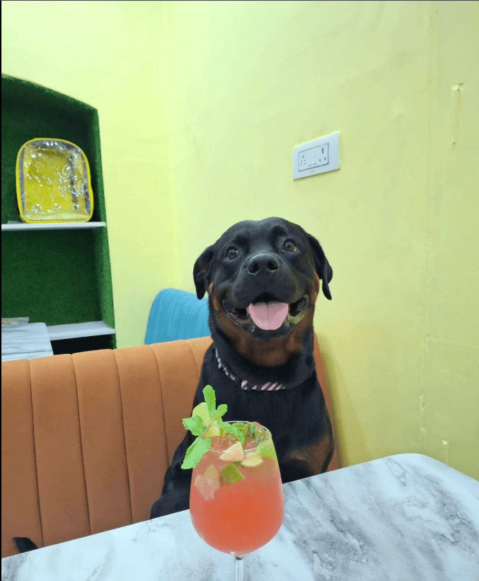 Barks & Brew (Kolkata)