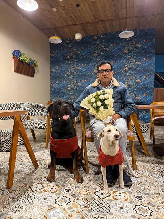 Cafe Pooch (Appointments only) (Noida)