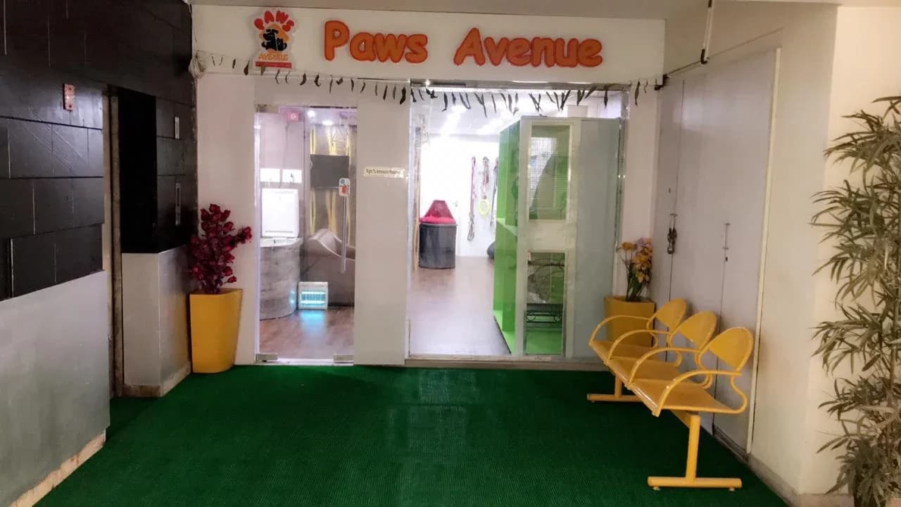 Paws Avenue (Kolkata)