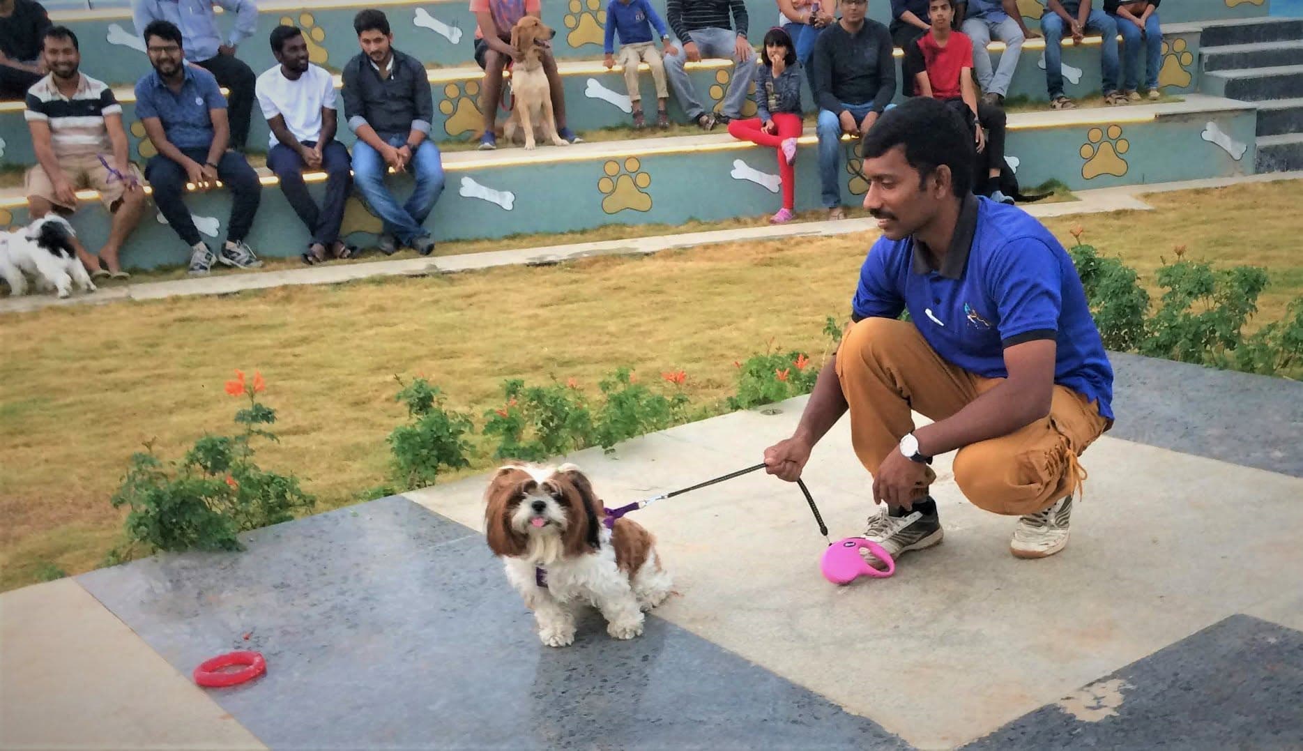 GHMC Dog Park, Gachibowli