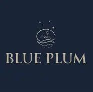 Blue Plum Cafe (Bidhannagar)