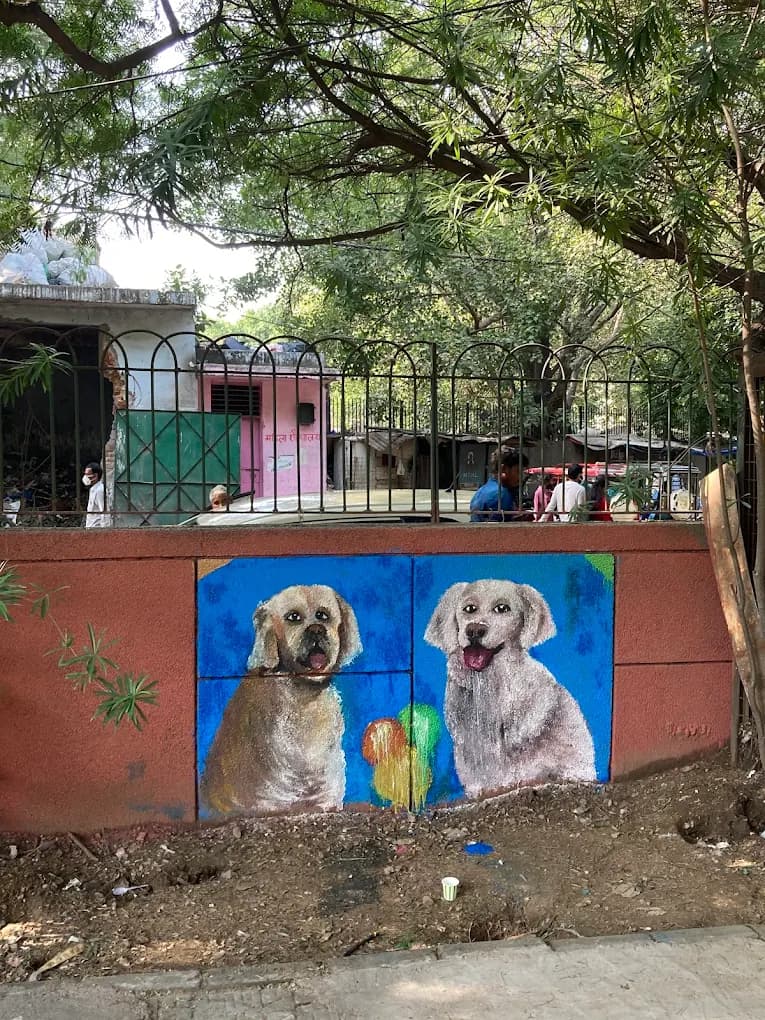 Delhi's First Dog Park (Rajinder Nagar)