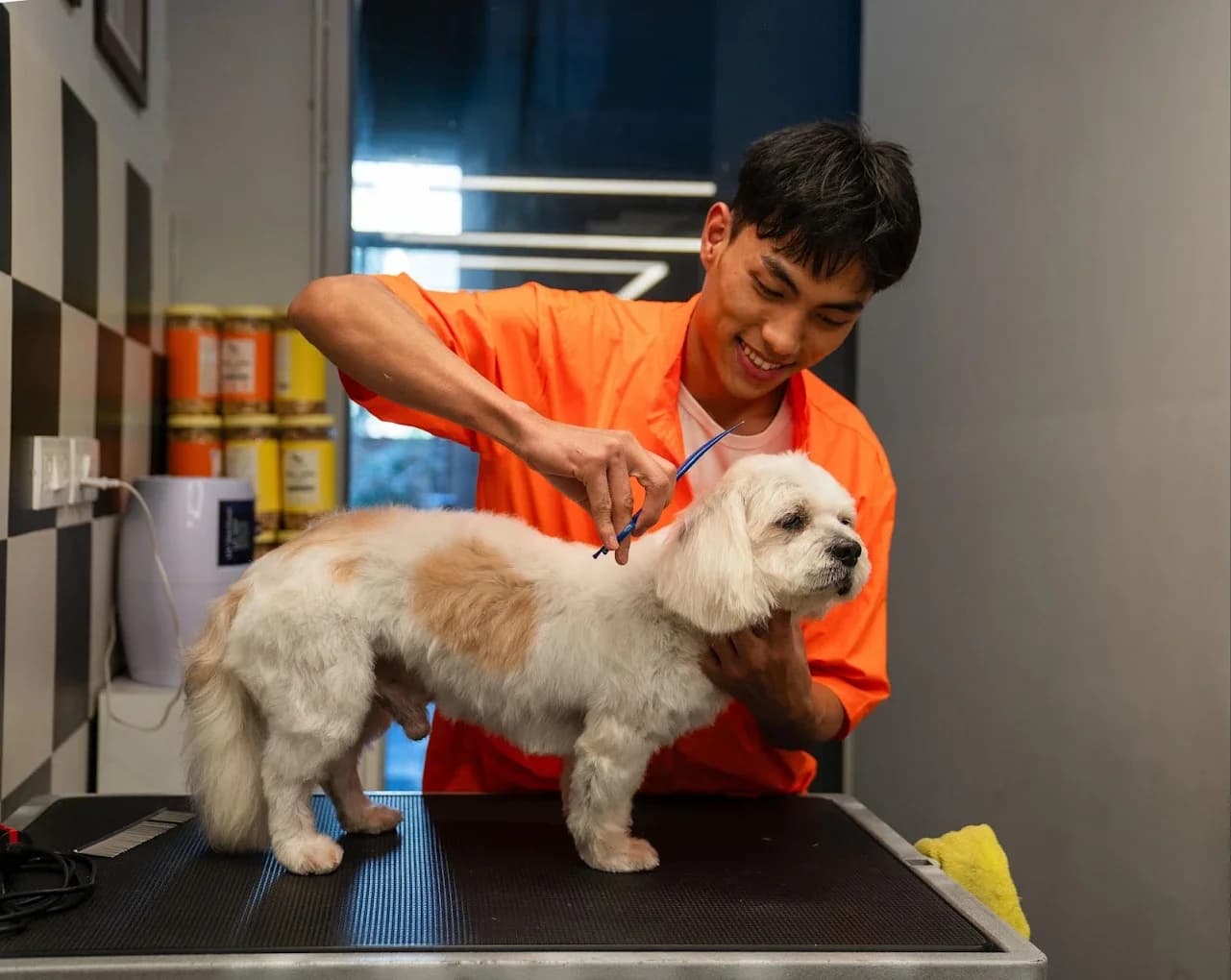 Heads Up For Tails Pet Store & Spa - DLF My Pad, Lucknow (Lucknow)
