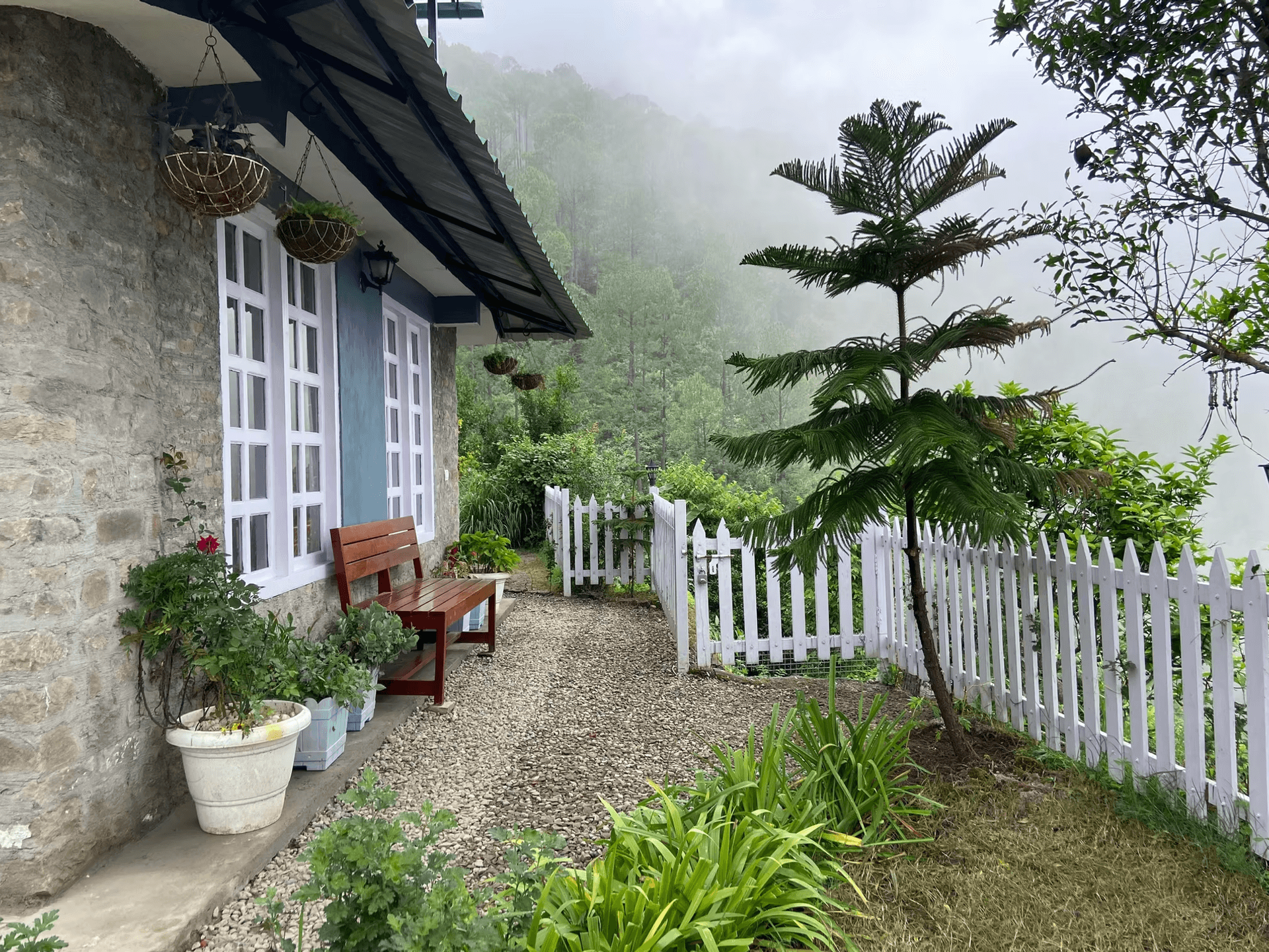 Fagunia (Nainital)