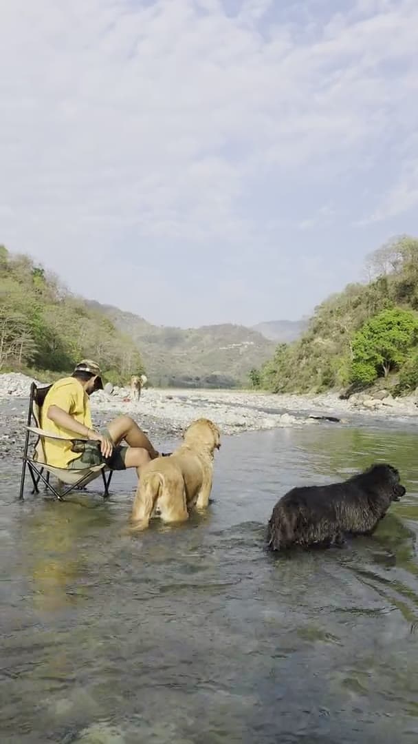 Kosi River — Dog Play Spot near The Den Corbett