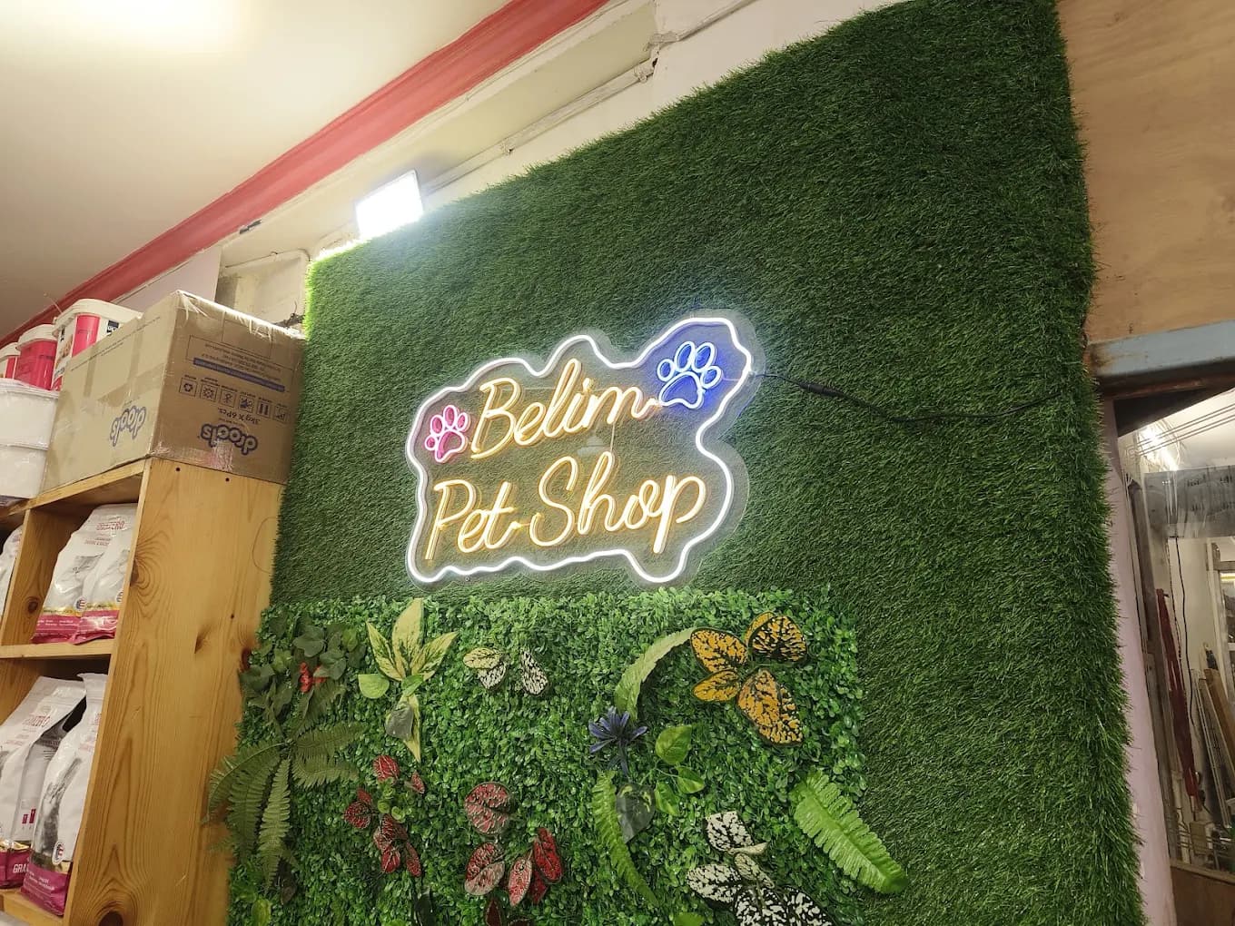 Belim Pet Shop (Wholesale Outlet) (Jodhpur)