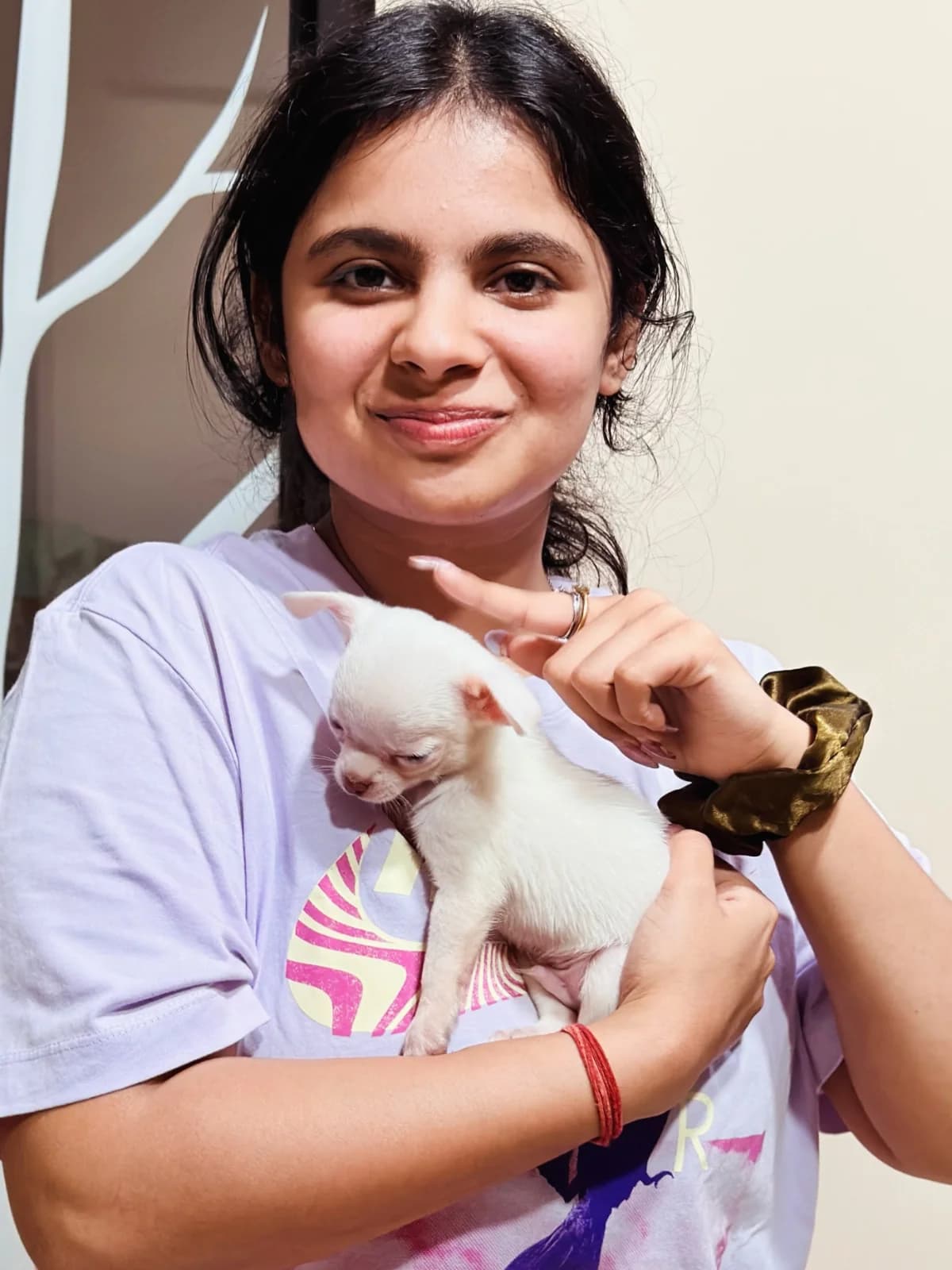 Pets 4 Delhi (New Delhi)