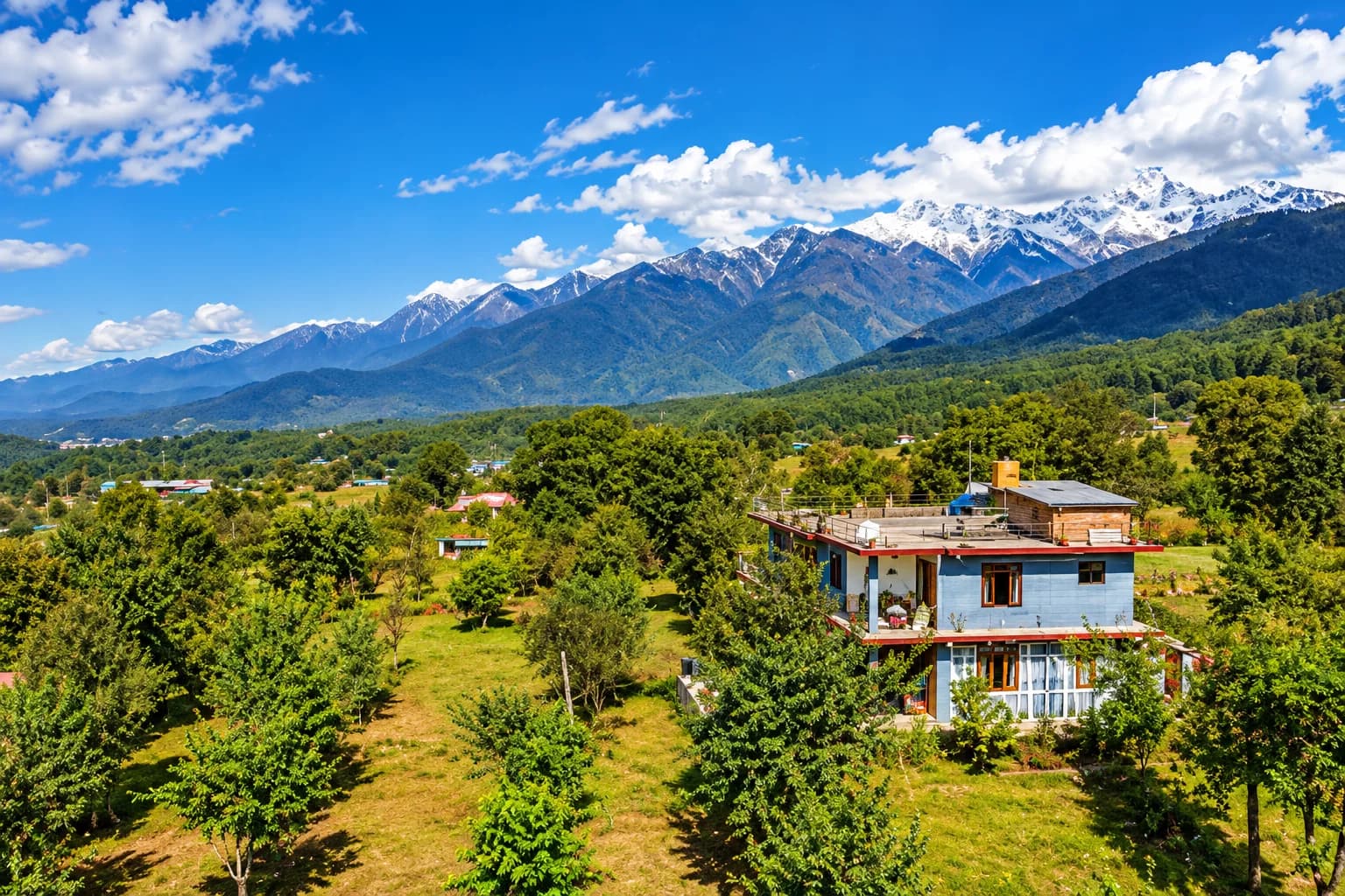 TLO (The Life Outdoor) , Bir