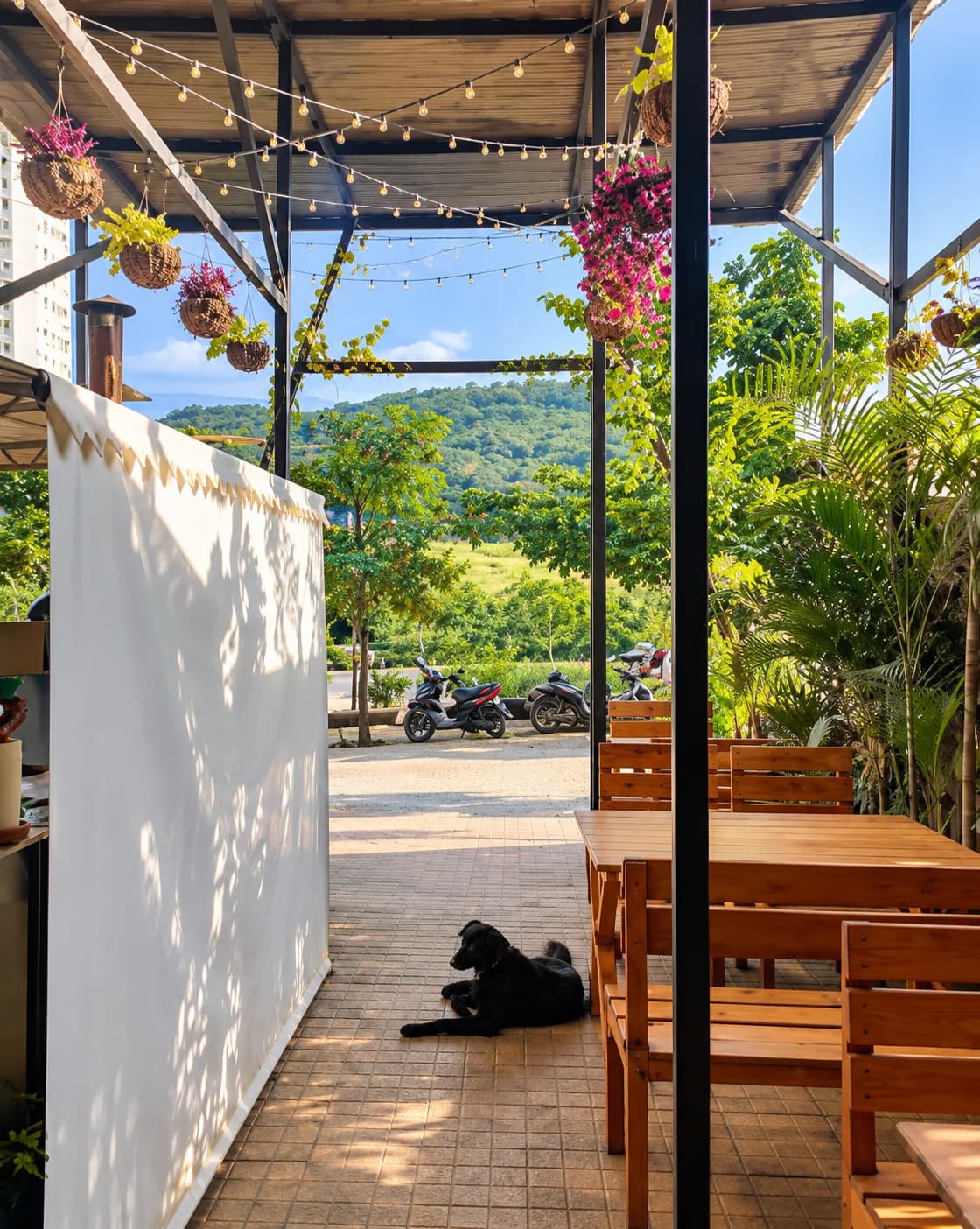 Cafe from the tree, Baner