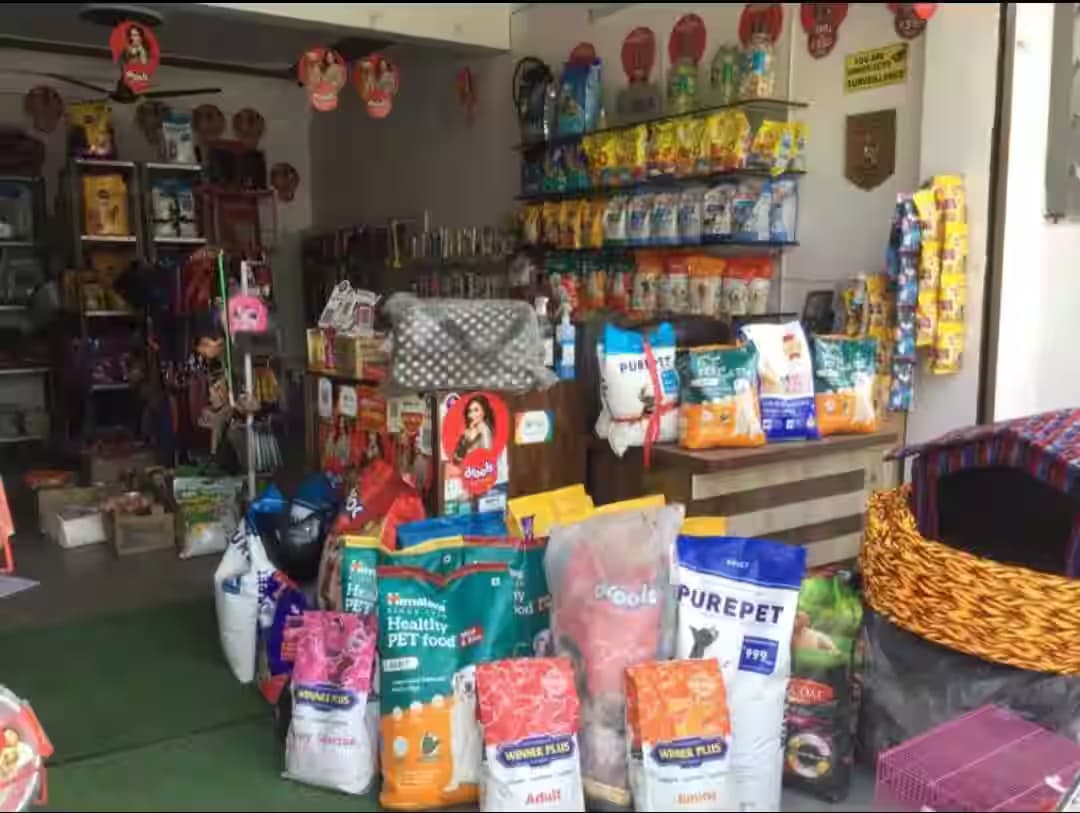 GLOBAL PET WORLD (Dehradun)