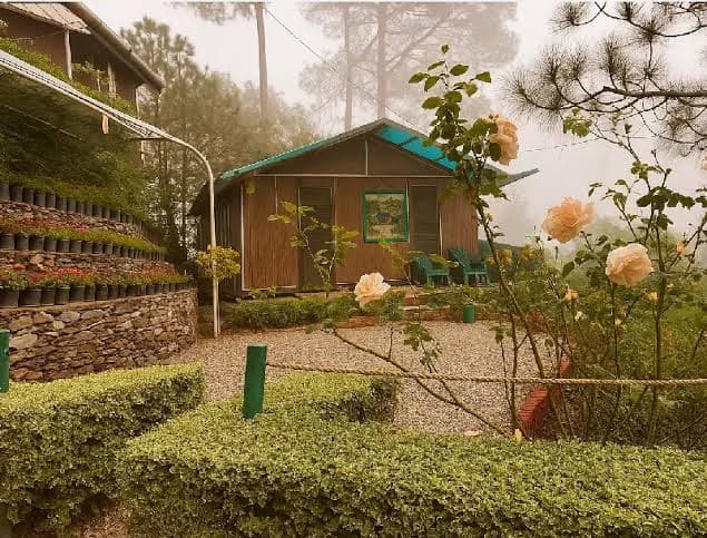 The Cocoon Camps & Nature Resorts, Pangot, (Nainital)