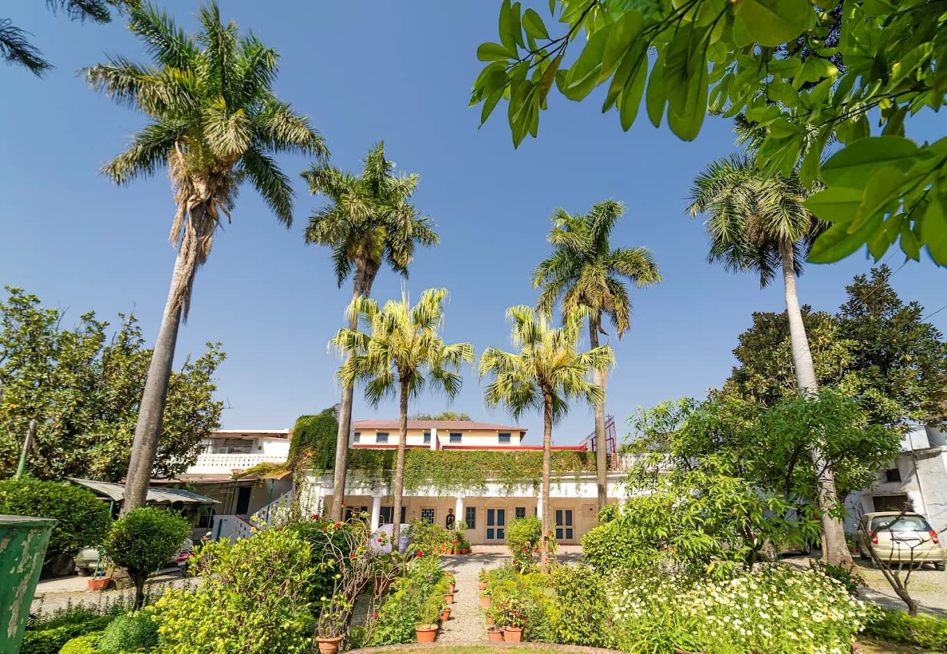 Mango Tree Courtyard (Dehradun)