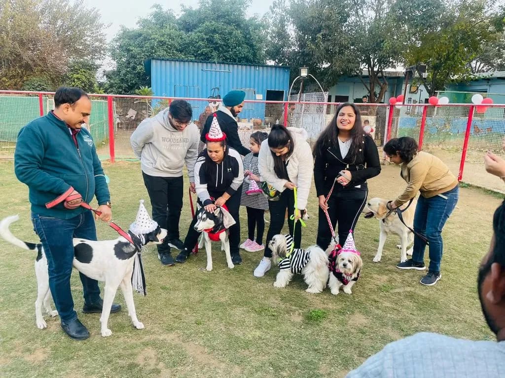 Bark n Walk Dog Park (Bijwasan, Delhi)