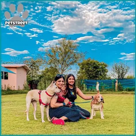 Petstreet Resort (Chak Mangrola)